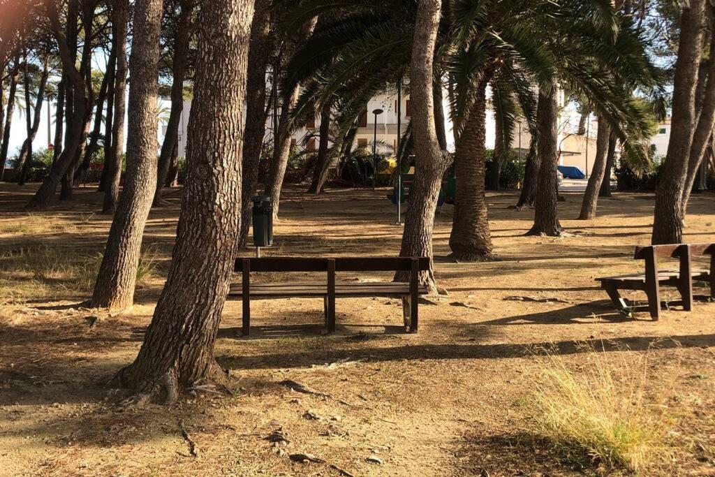 Seaside Apartment Las Mimosas In Puerto Pollensa エクステリア 写真